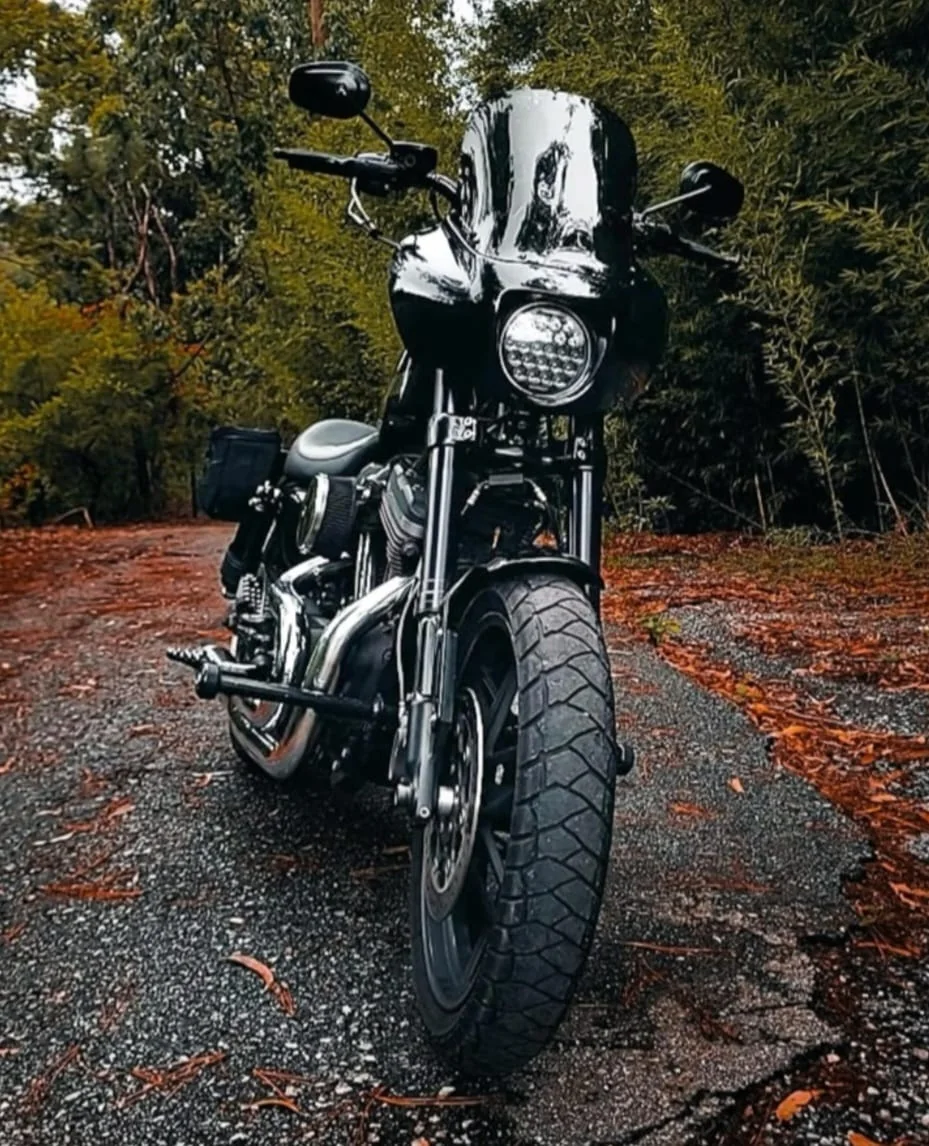 Fairing New Quarter preto instalado em motocicleta em estrada arborizada